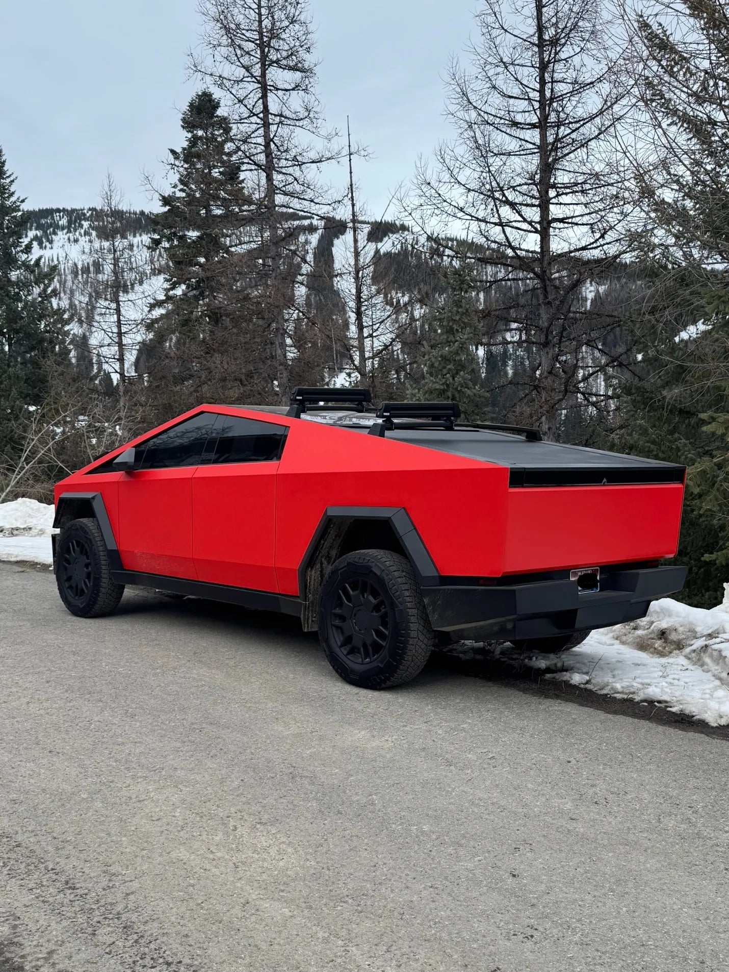 Vinyl Wraps