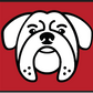 5 Ft Dog Winch Leash