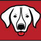 5 Ft Dog Winch Leash